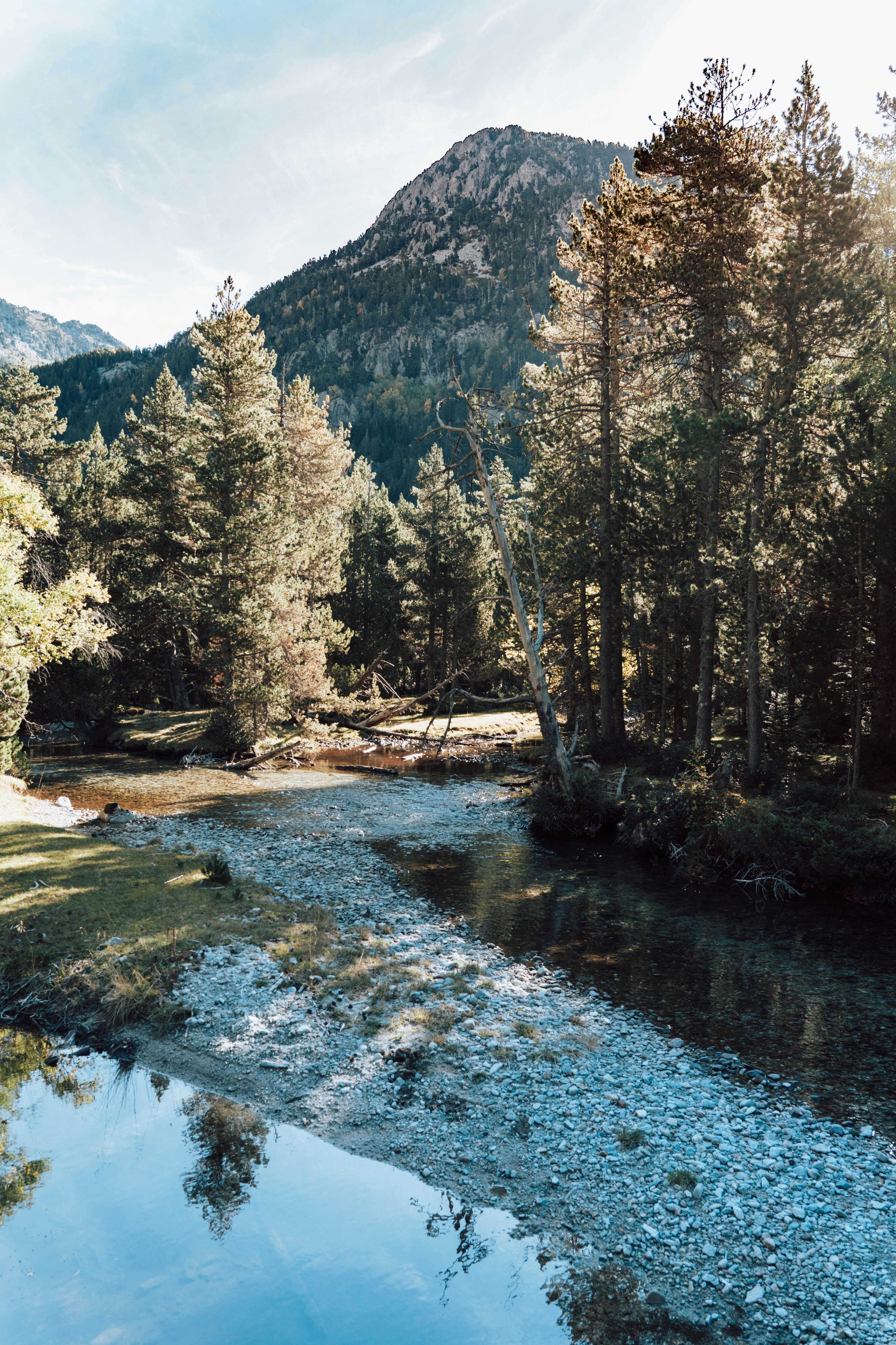 British Columbia riverside inspiration photo